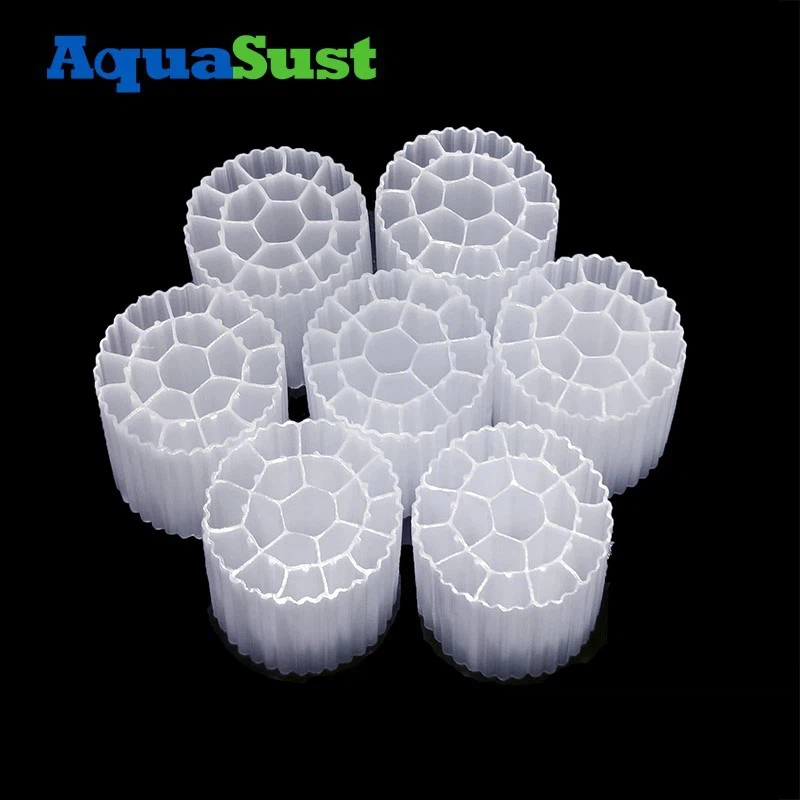 Media Loss Media Loss